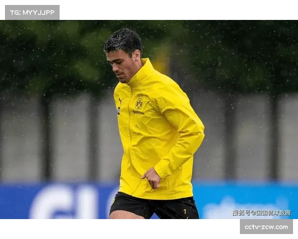 多特蒙德客场2-2遭海登海姆绝平，痛失关键两分